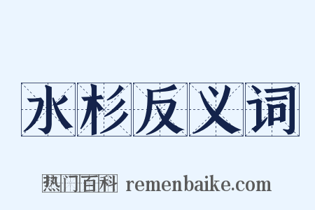水杉反义词是什么意思的图片